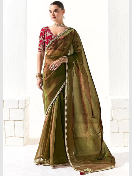 New Saree - Embroidered Organza Tissue