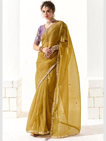 New Saree - Embroidered Organza Tissue