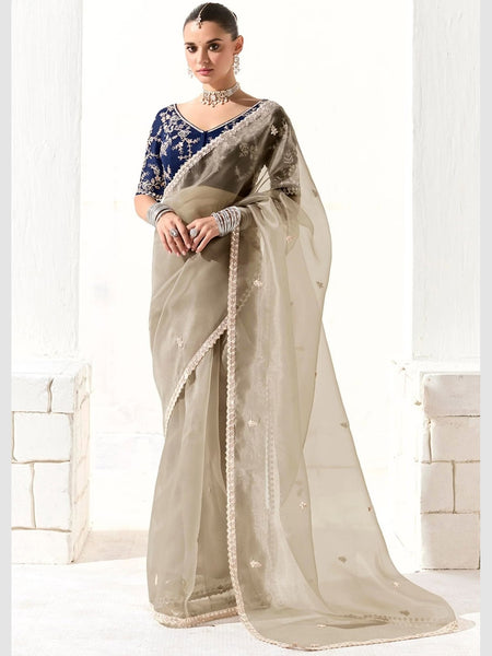 New Saree - Embroidered Organza Tissue