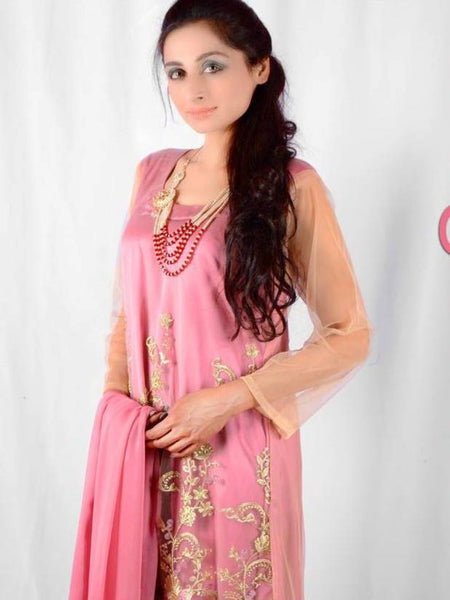 Net Salwar Kameez - Embroidered Net and Silk