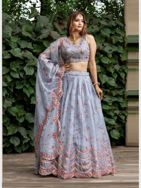 Plus-Sizes Lehenga Choli - Embroidered Organza
