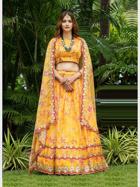 Plus-Sizes Lehenga Choli - Embroidered Organza