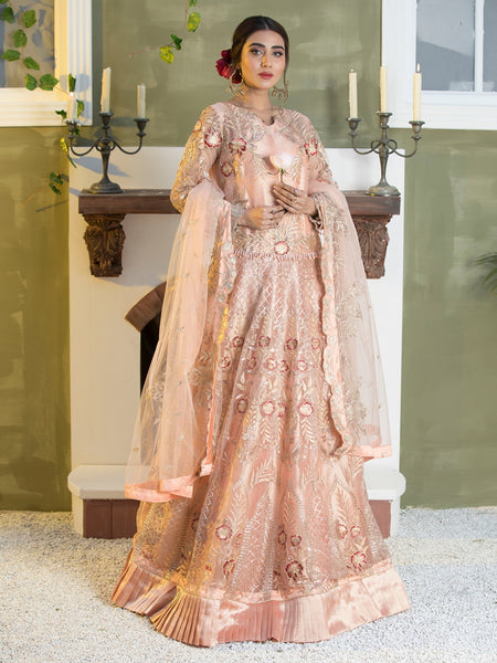  Pakistani Dress - Embroidery on Net & Silk