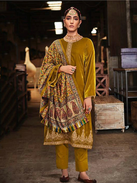 Casual Salwar Kameez - Velvet Embroidery Suit
